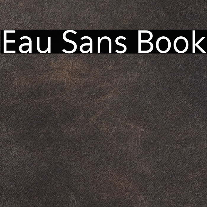 Eau Sans Book Example 1