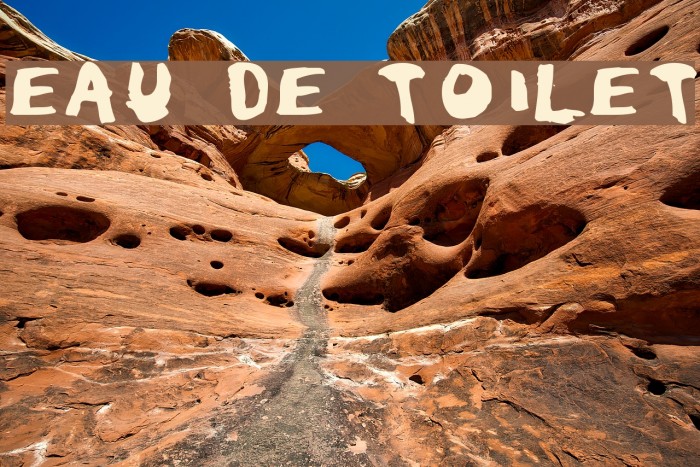 Eau de Toilet Font examples