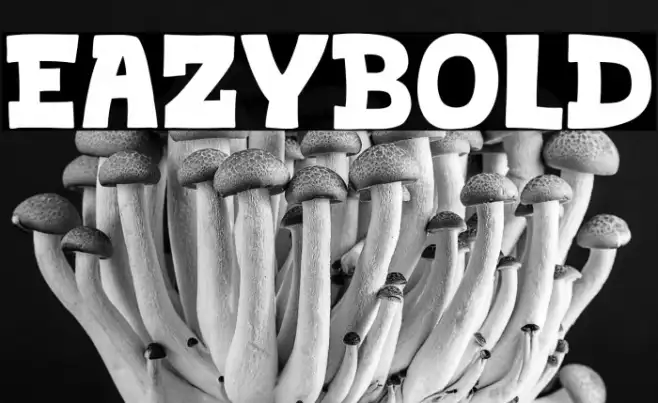 Eazybold Example 1