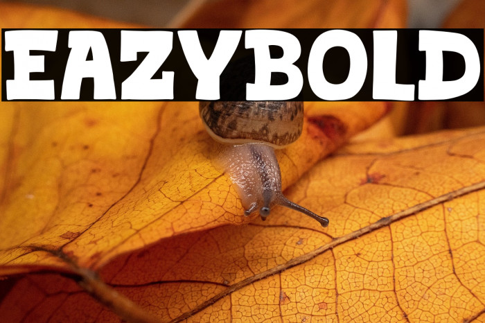 Eazybold Example 2