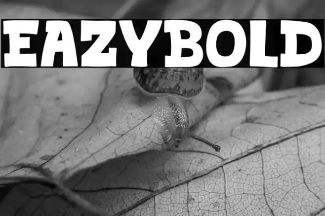 Eazybold Example 2