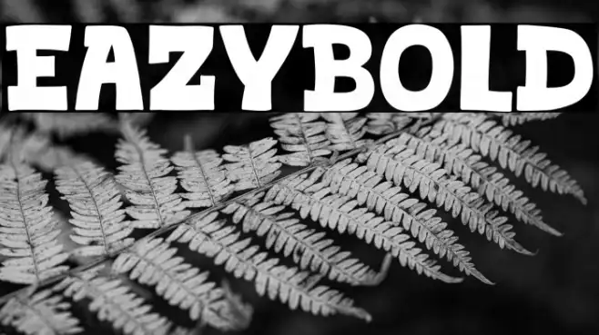 Eazybold Example 3