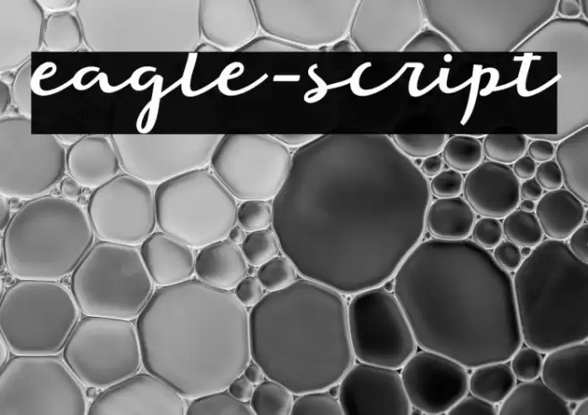 eagle-script Font examples