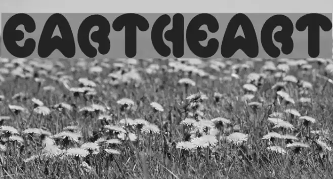 eartheart Example 1