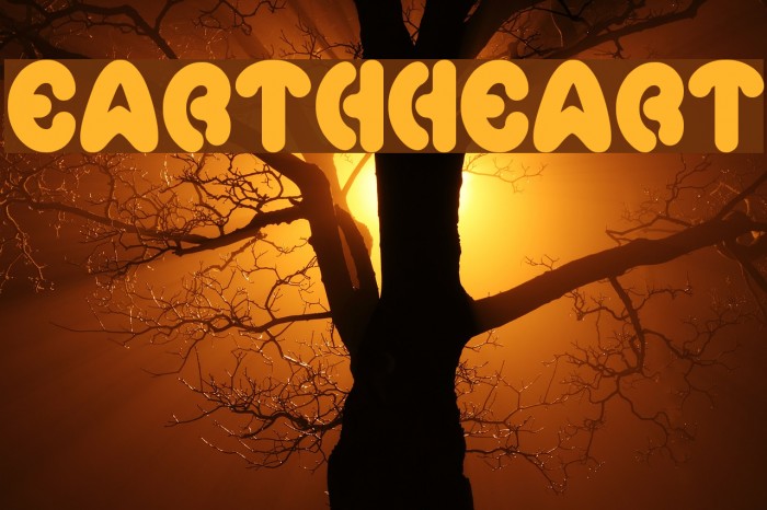 earthheart Example 2