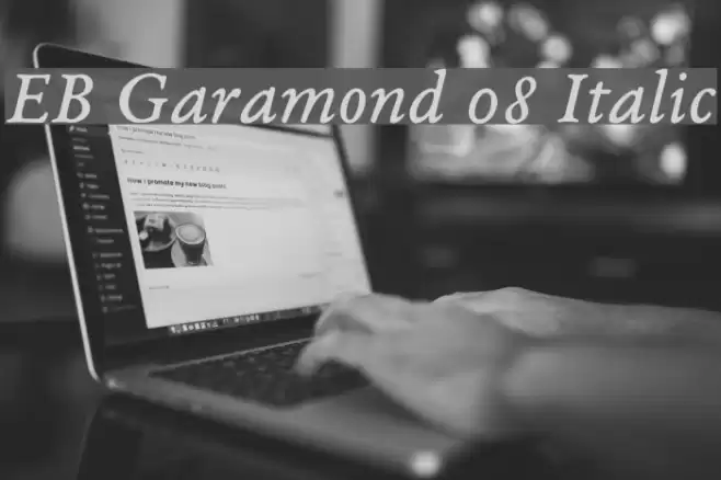 EB Garamond 08 Italic Font examples