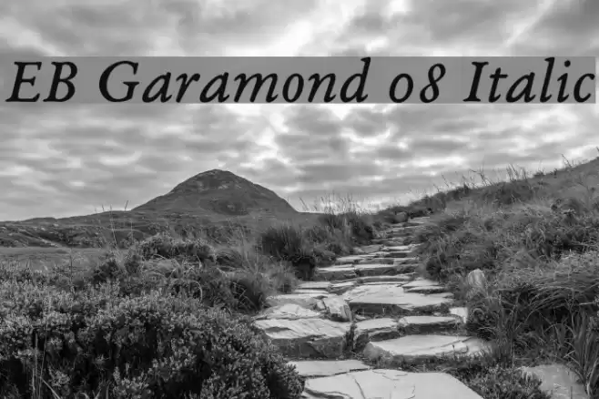 EB Garamond 08 Italic Font examples