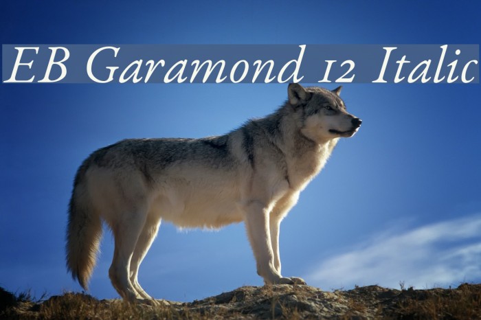 EB Garamond 12 Italic Example 2