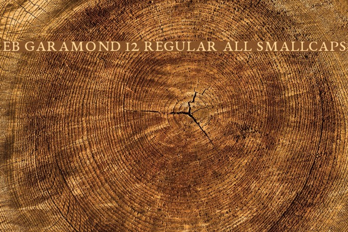 EB Garamond 12 Regular All SmallCaps Font examples