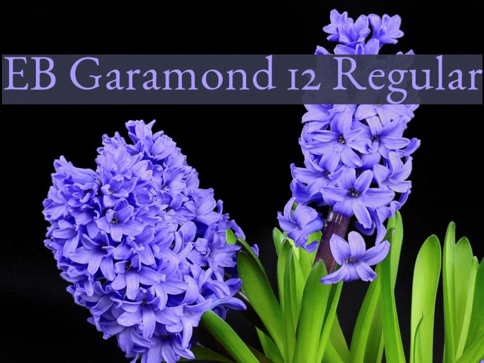 EB Garamond 12 Regular Font examples