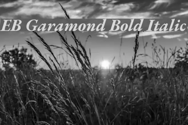 EB Garamond Bold Italic Schriftart examples