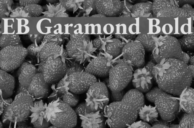 EB Garamond Bold examples