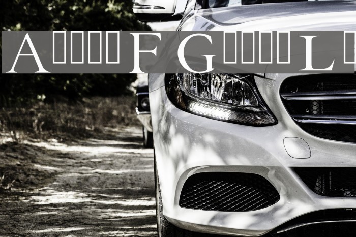 EB Garamond Initials Fill2 Example 1