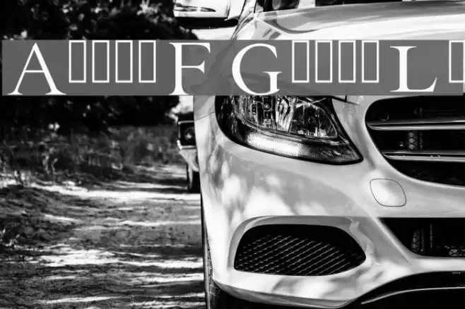 EB Garamond Initials Fill2 Font examples