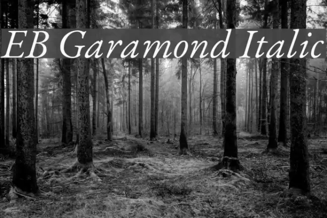 EB Garamond Italic  examples