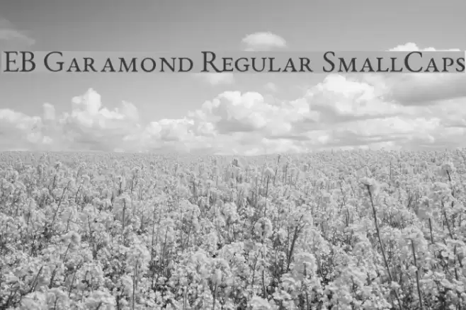 EB Garamond Regular SmallCaps Font examples