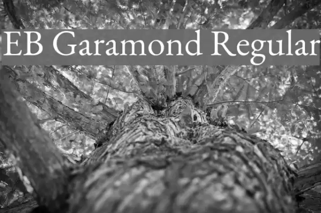 EB Garamond Regular Font examples