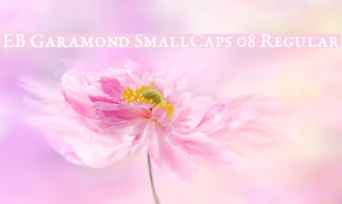 EB Garamond SmallCaps 08 Regular Font examples