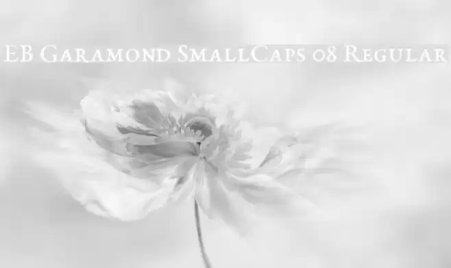 EB Garamond SmallCaps 08 Regular Font examples