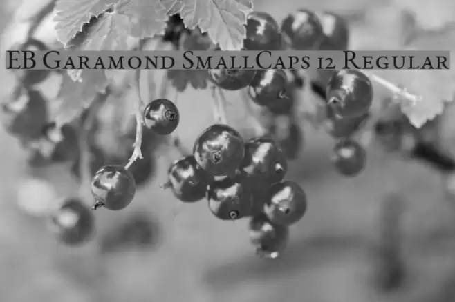 EB Garamond SmallCaps 12 Regular Font examples