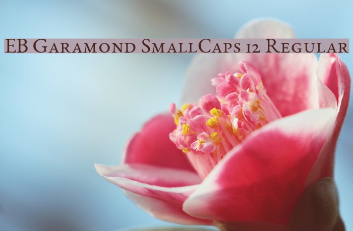 EB Garamond SmallCaps 12 Regular Font examples