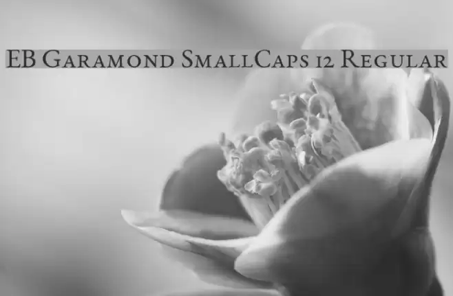 EB Garamond SmallCaps 12 Regular Font examples