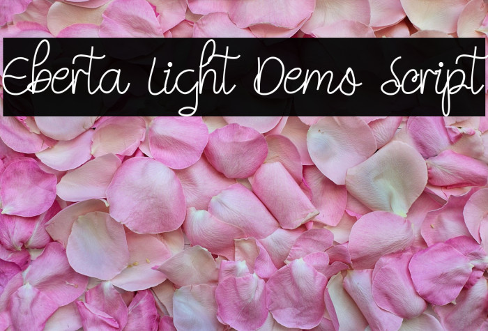 Eberta Light Demo Script Example 1