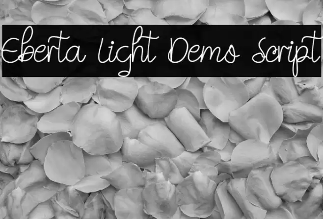 Eberta Light Demo Script Font examples