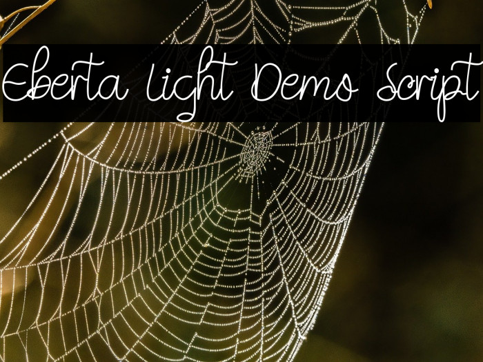 Eberta Light Demo Script Example 3