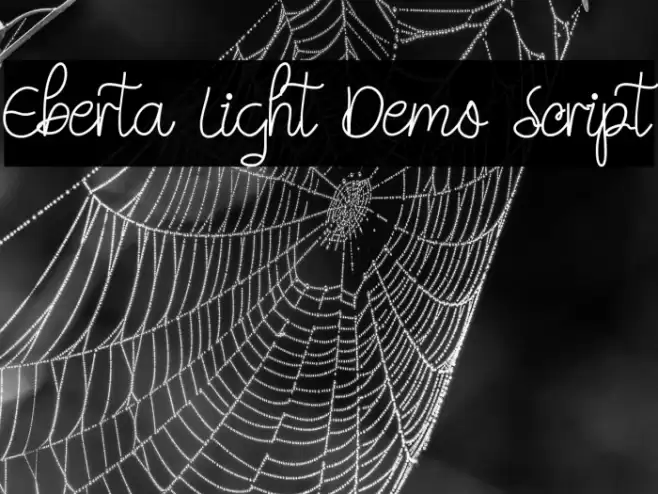 Eberta Light Demo Script Font examples