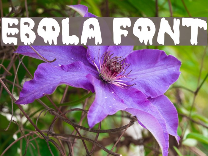 Ebola Font Font examples