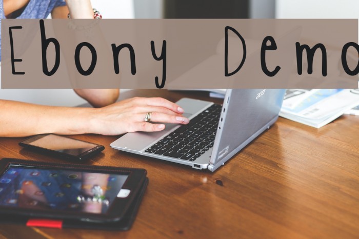 Ebony Demo 字体 examples