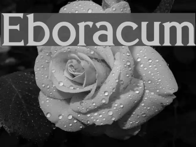 Eboracum Font examples
