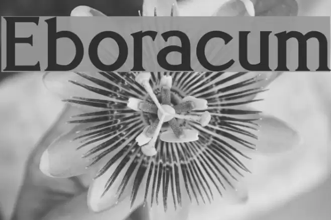 Eboracum Font examples
