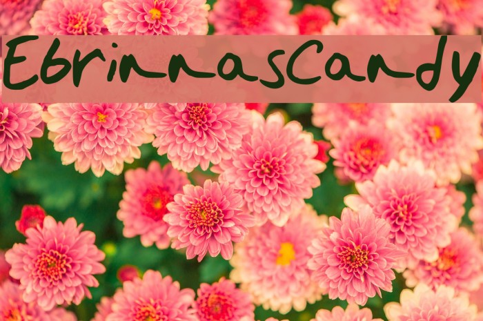 EbrinnasCandy Font examples