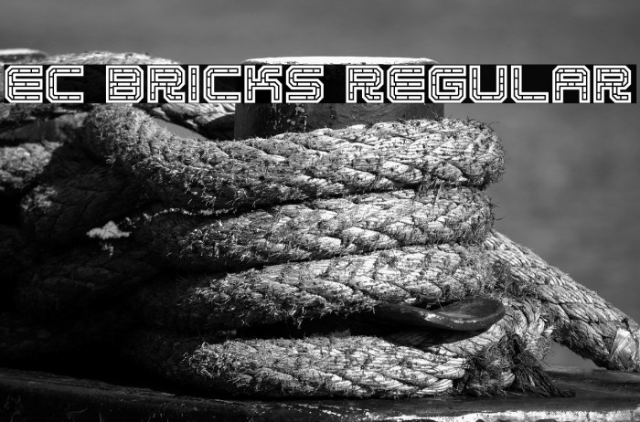 EC Bricks Regular Example 1