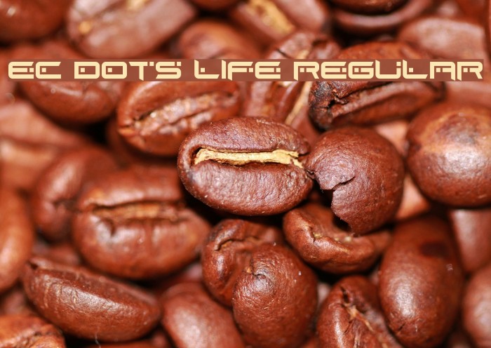 EC Dots Life Regular Example 1