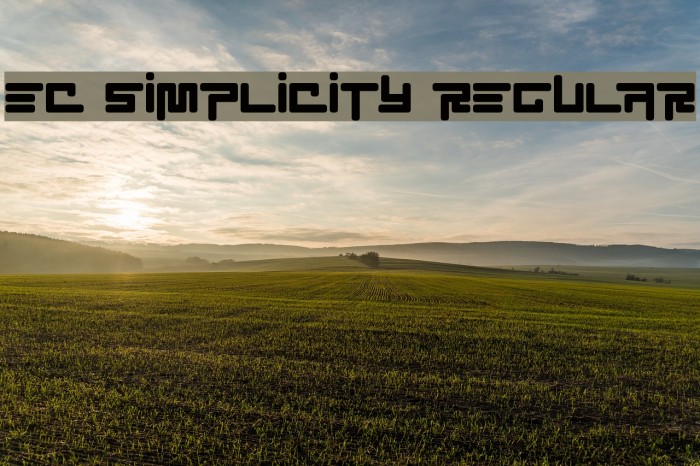 EC SimpliCity Regular Font examples