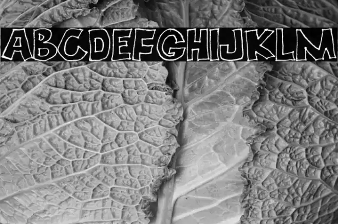 ECOPLANET PERSONAL USE Regular Font examples