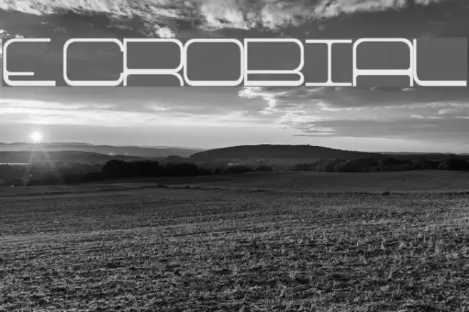 ECROBIAL Font examples