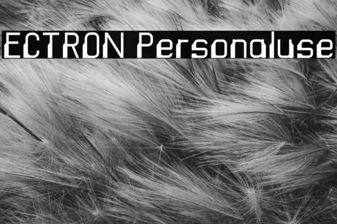 ECTRON Personaluse Font examples