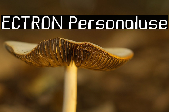 ECTRON Personaluse Example 3