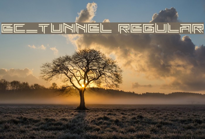 EC_Tunnel Regular Font examples