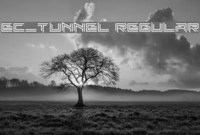 EC_Tunnel Regular Example 2
