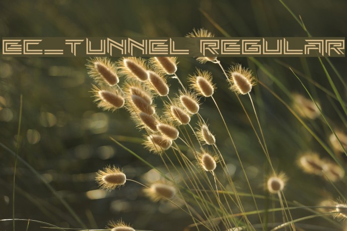 EC_Tunnel Regular Font examples