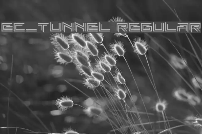 EC_Tunnel Regular Example 3