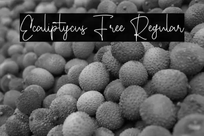 Ecaliptycus Free Regular Font examples