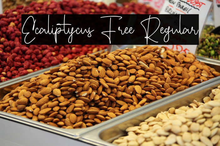 Ecaliptycus Free Regular Example 2