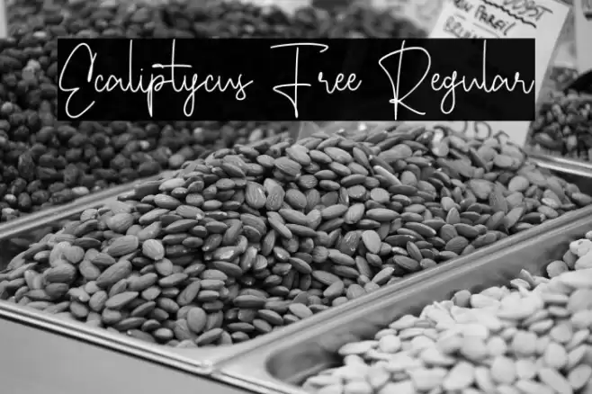Ecaliptycus Free Regular Font examples