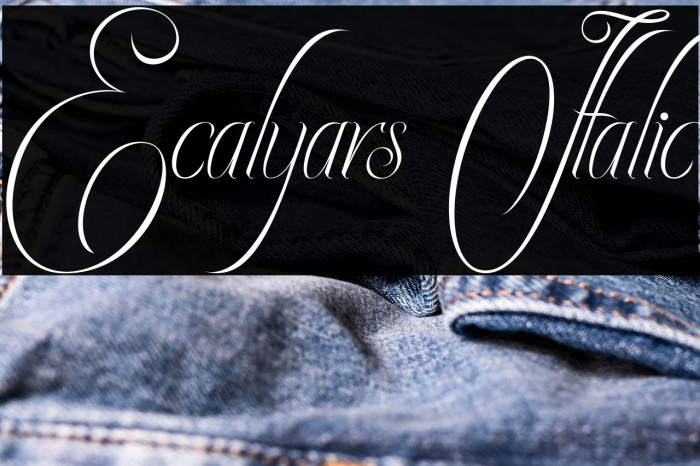 Ecalyars Italic Example 1